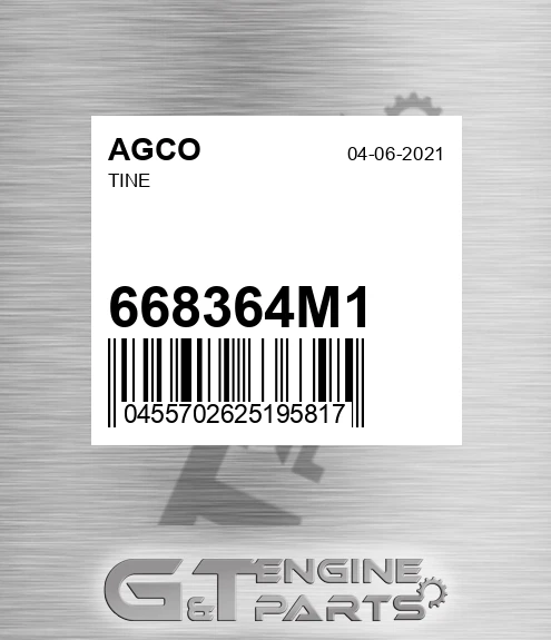 668364M1 Tine for AGCO