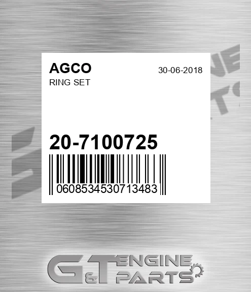 20-7100725 Ring Set for AGCO