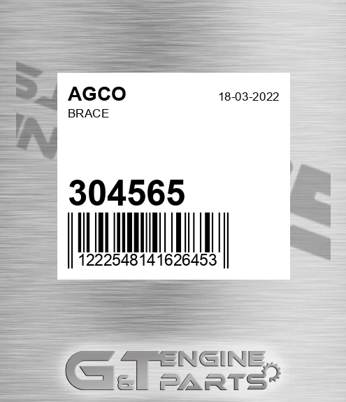 304565 Brace