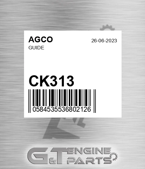 CK313 Guide