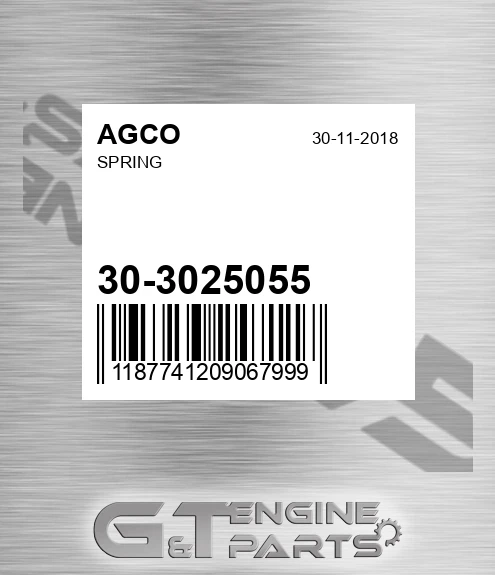 30-3025055 Spring for AGCO