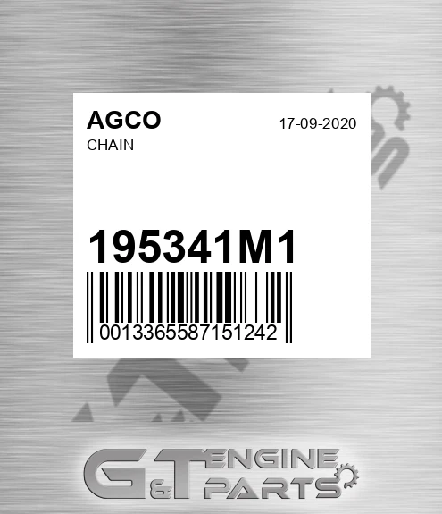 195341M1 Chain for AGCO