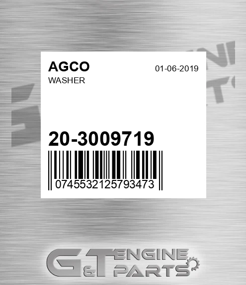 20-3009719 Washer for AGCO