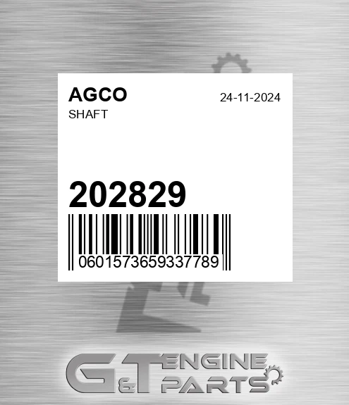 202829 AGCO Shaft