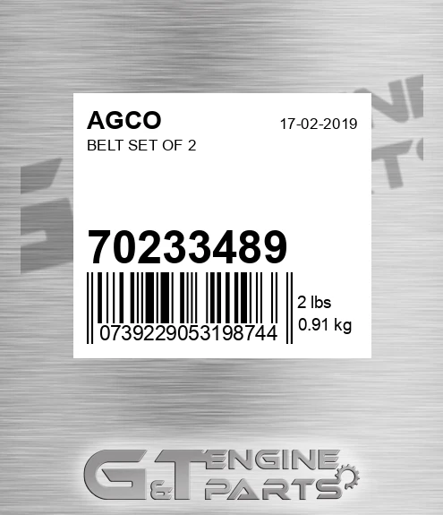 70233489 Belt Set Of 2 for AGCO