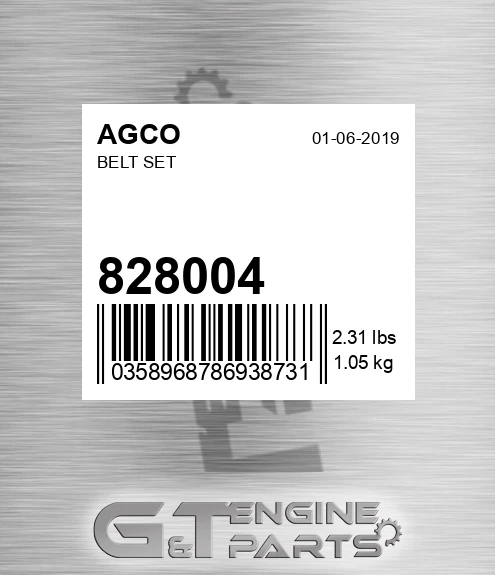 828004 AGCO Belt Set