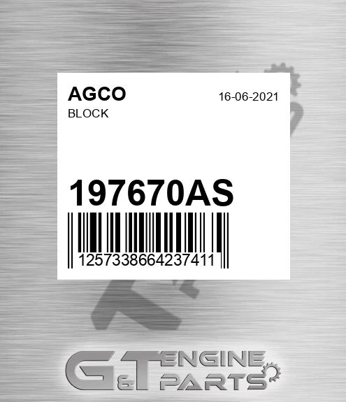 197670AS Block for AGCO