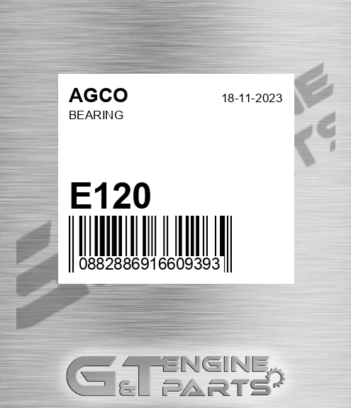 E120 AGCO Bearing