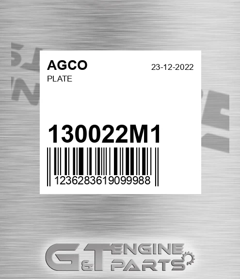 130022M1 Plate
