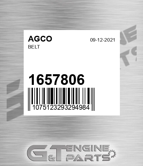 1657806 Belt for AGCO