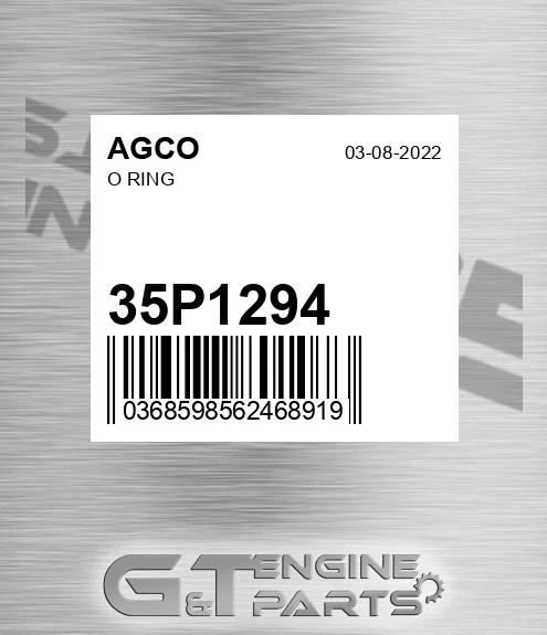 35P1294 O Ring for AGCO
