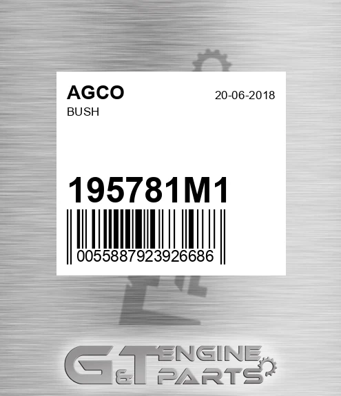 195781M1 Bush for AGCO