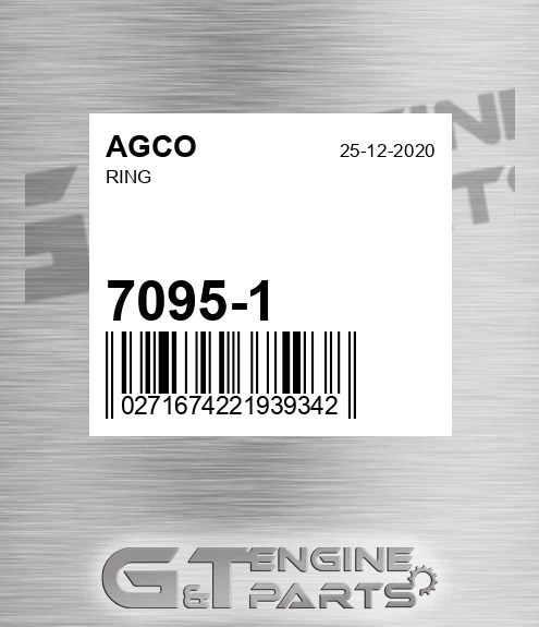 7095-1 Ring for AGCO