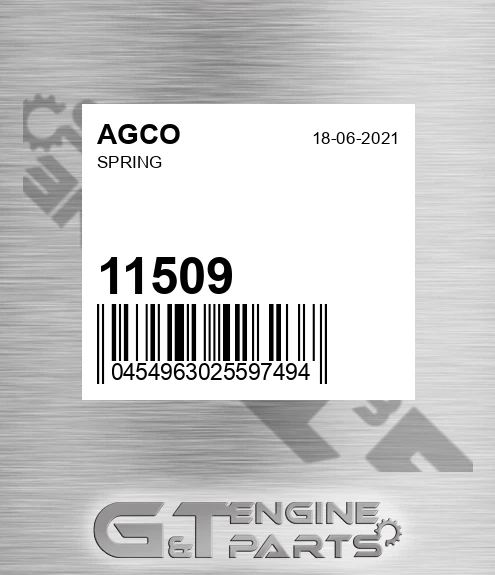 11509 Spring