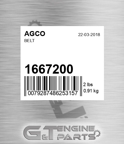 1667200 Belt for AGCO