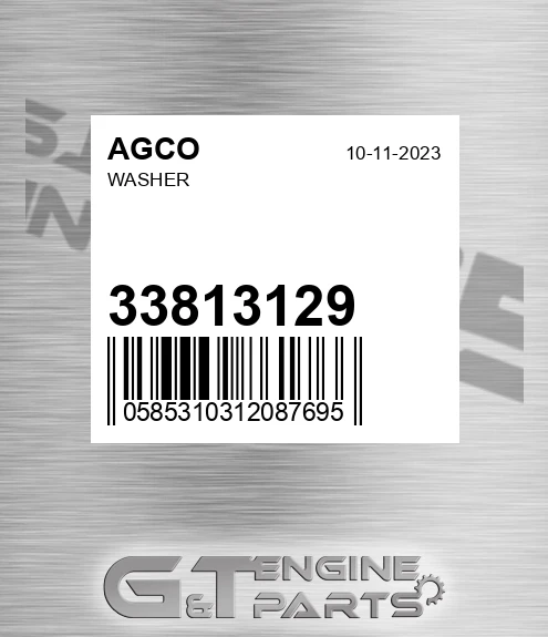 33813129 AGCO Washer