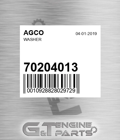 70204013 AGCO Washer