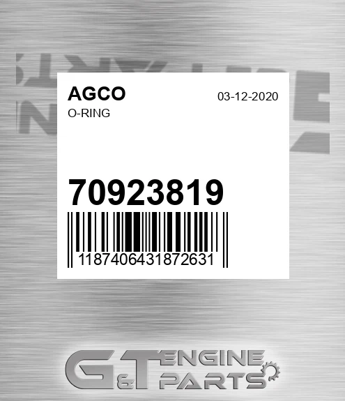 70923819 O-ring for AGCO