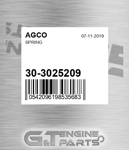 30-3025209 Spring for AGCO