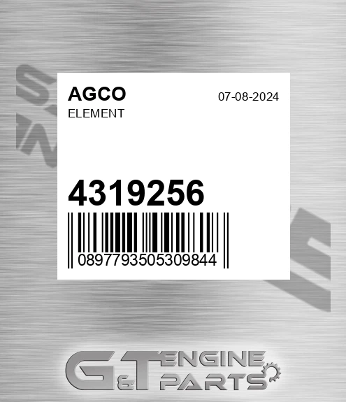 4319256 Element for AGCO