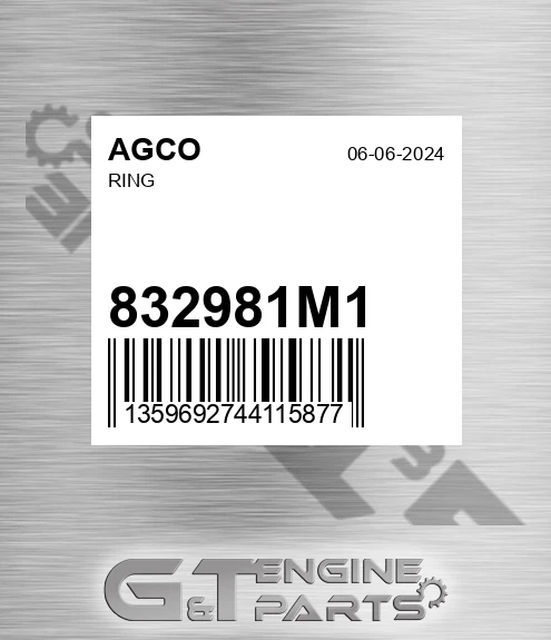 832981M1 Ring for AGCO