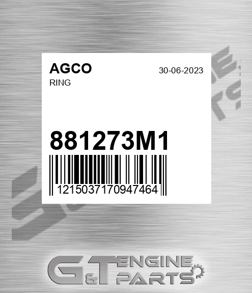 881273M1 Ring