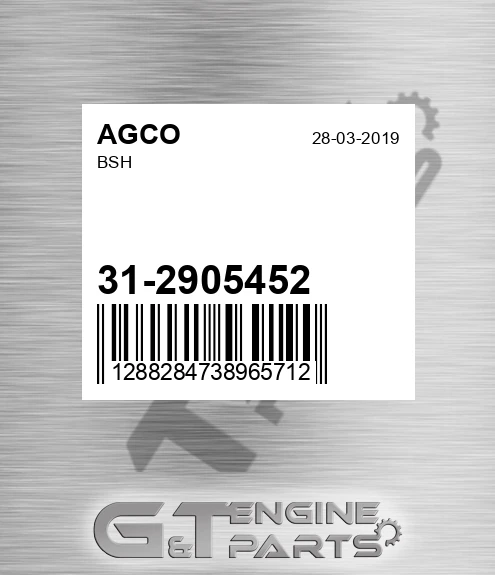 31-2905452 Bsh for AGCO