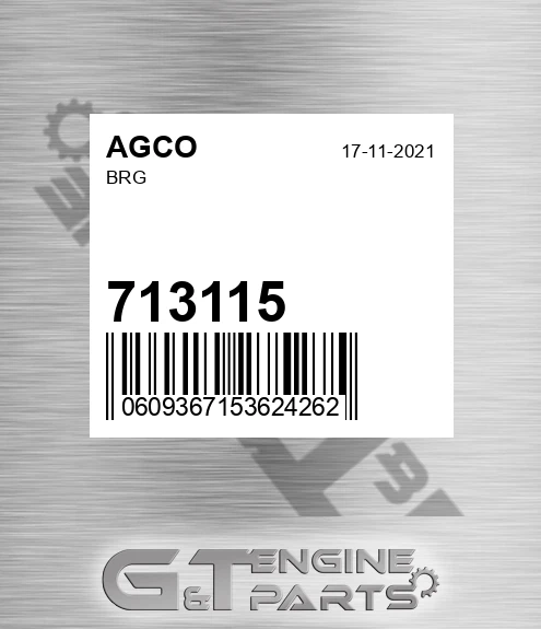 713115 Brg for AGCO