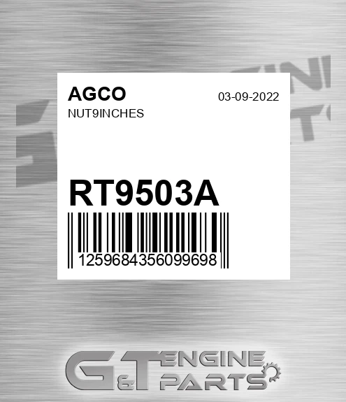 RT9503A Nut9inches
