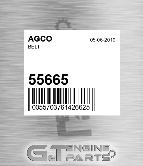 55665 Belt for AGCO