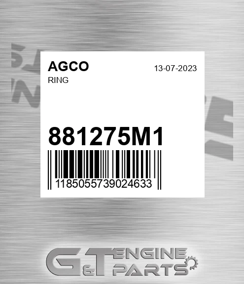 881275M1 Ring
