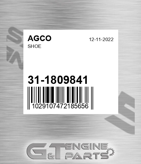 31-1809841 Shoe for AGCO