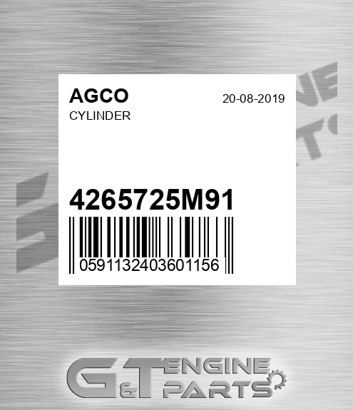 4265725M91 AGCO Cylinder