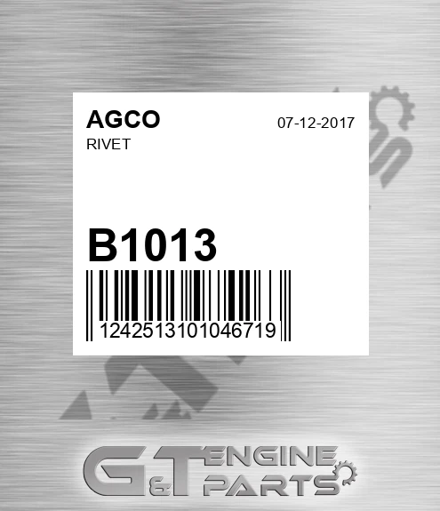 B1013 Rivet
