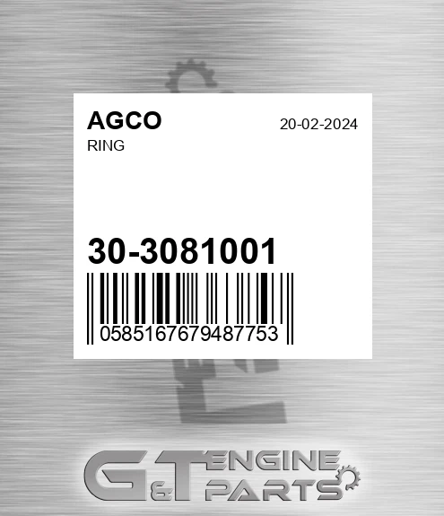 30-3081001 Ring for AGCO