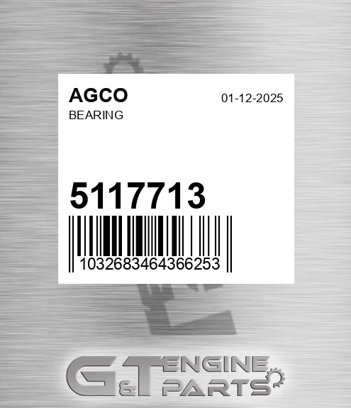 5117713 AGCO Bearing