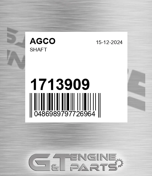 1713909 Shaft for AGCO