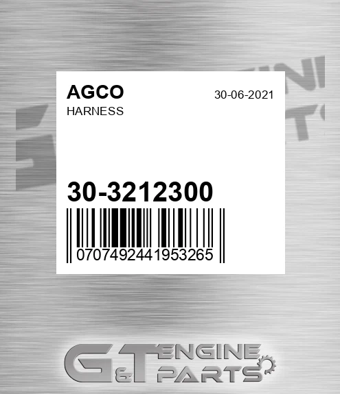 30-3212300 Harness for AGCO