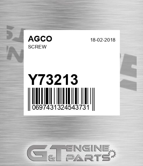Y73213 AGCO Screw
