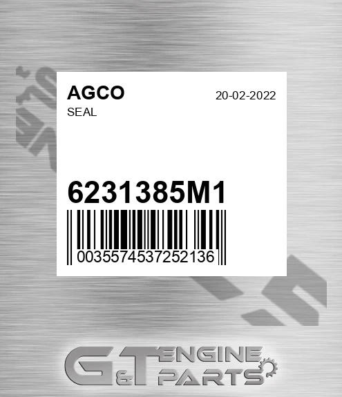6231385M1 AGCO Seal