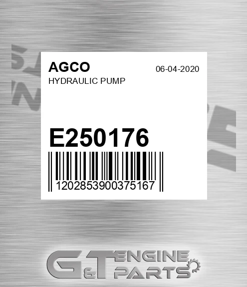 E250176 AGCO Hydraulic Pump