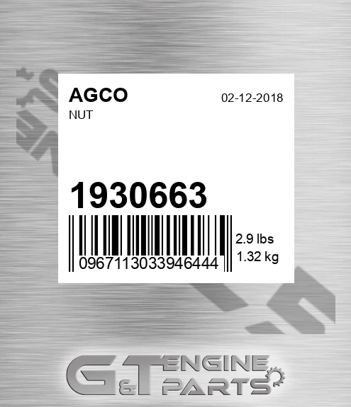 1930663 Nut for AGCO