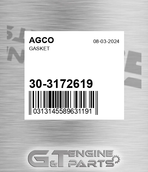 30-3172619 Gasket for AGCO
