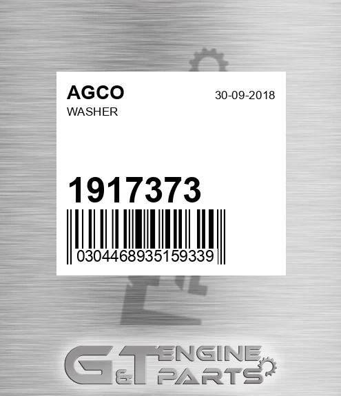1917373 Washer for AGCO