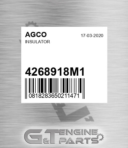 4268918M1 AGCO Insulator