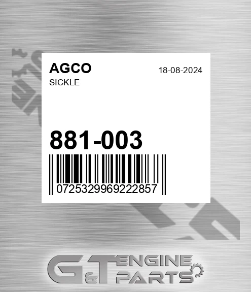 881-003 Sickle for AGCO