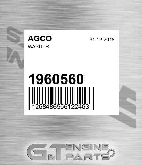 1960560 Washer for AGCO