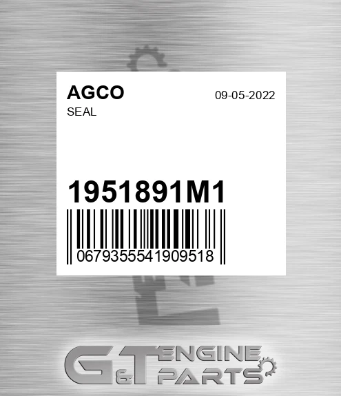 1951891M1 Seal for AGCO