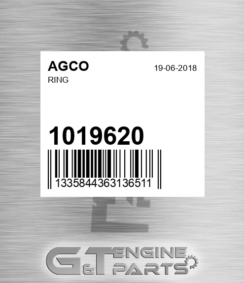 1019620 Ring for AGCO
