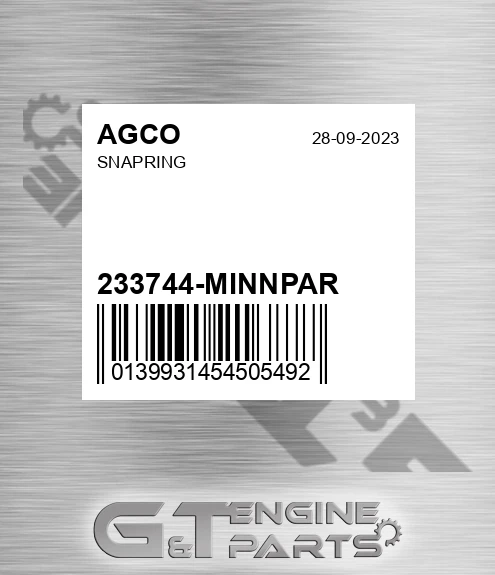 233744-MINNPAR Snapring for AGCO